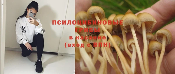индика Балахна