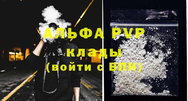 индика Балахна