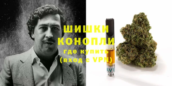 индика Балахна