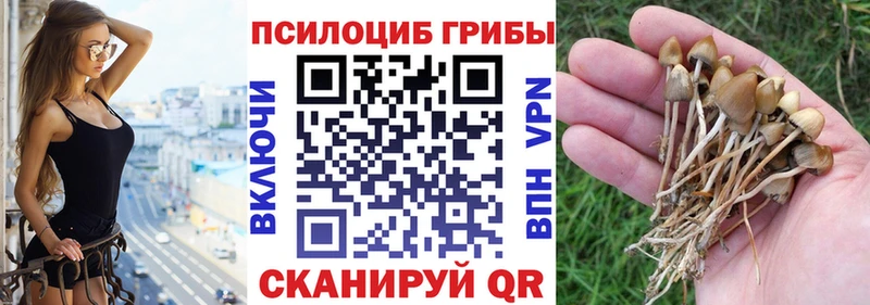 omg онион  Спас-Деменск  Псилоцибиновые грибы GOLDEN TEACHER  наркотики 